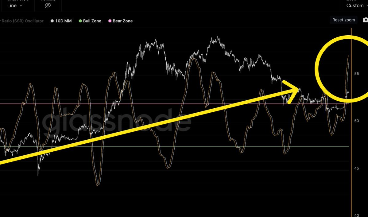 bull zone