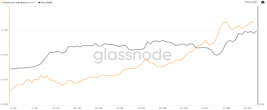 Hoeveelheid bitcoin wallets met meer dan 0,1 BTC in Q1 2023