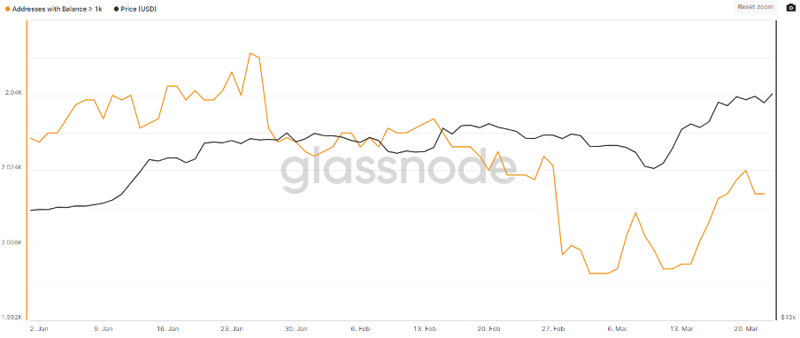 Hoeveelheid bitcoin wallets met meer dan 1.000 BTC in Q1 2023